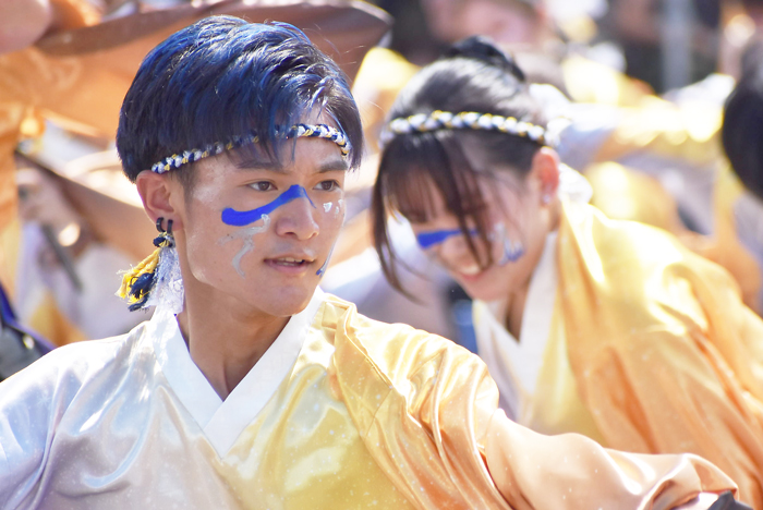 よさこい衣装・祭り衣装　　香川大学よさこい連風華様 