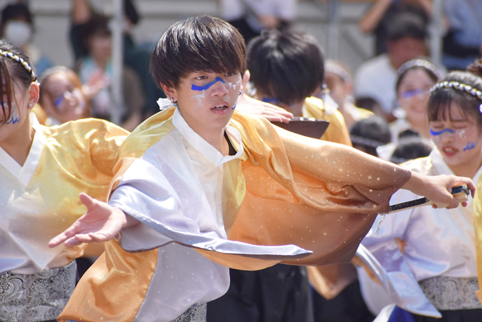 よさこい衣装・祭り衣装　　香川大学よさこい連風華様 