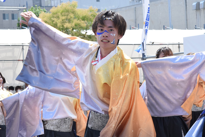 よさこい衣装・祭り衣装　　香川大学よさこい連風華様 