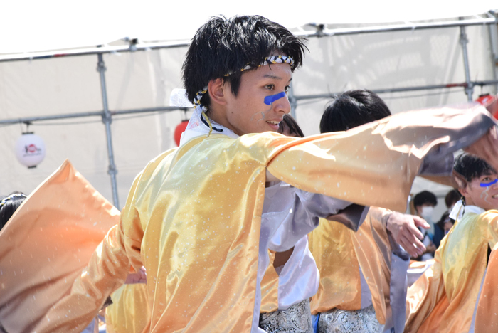 よさこい衣装・祭り衣装　　香川大学よさこい連風華様 