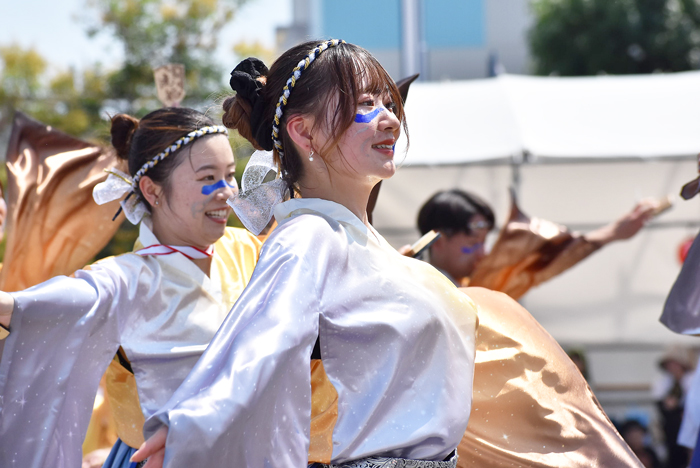 よさこい衣装・祭り衣装　　香川大学よさこい連風華様 