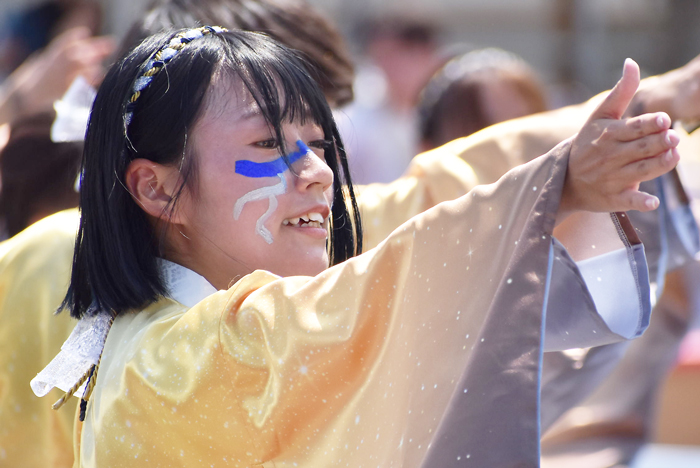 よさこい衣装・祭り衣装　　香川大学よさこい連風華様 