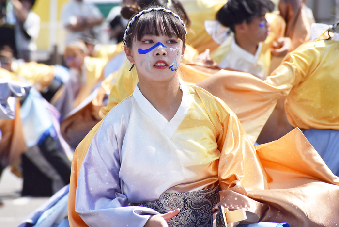 よさこい衣装・祭り衣装　　香川大学よさこい連風華様 