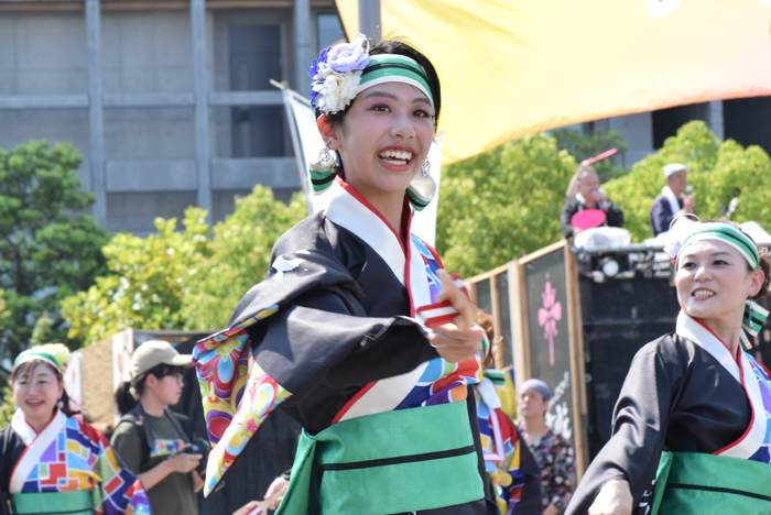 よさこい衣装・祭り衣装　　いよさこい！！華魅様 