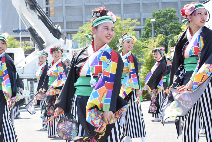 よさこい衣装・祭り衣装　　いよさこい！！華魅様 