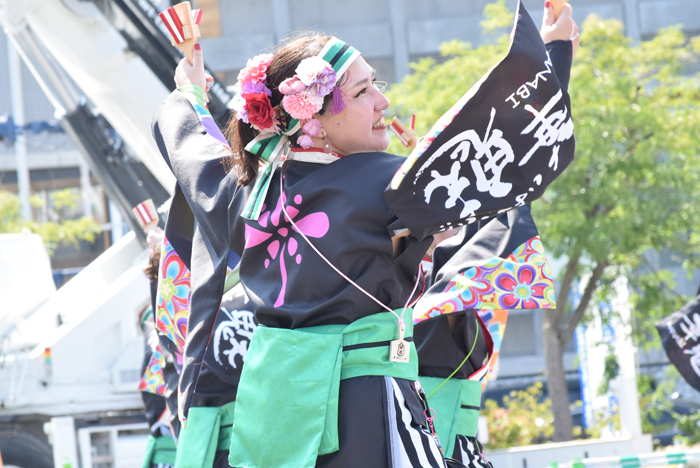 よさこい衣装・祭り衣装　　いよさこい！！華魅様 