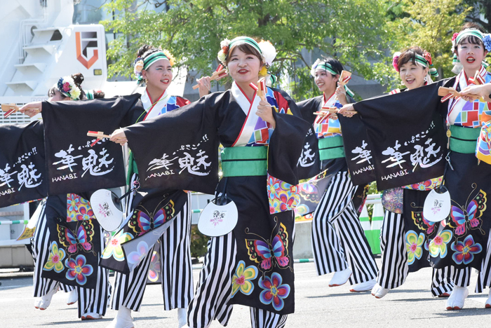 よさこい衣装・祭り衣装　　いよさこい！！華魅様 