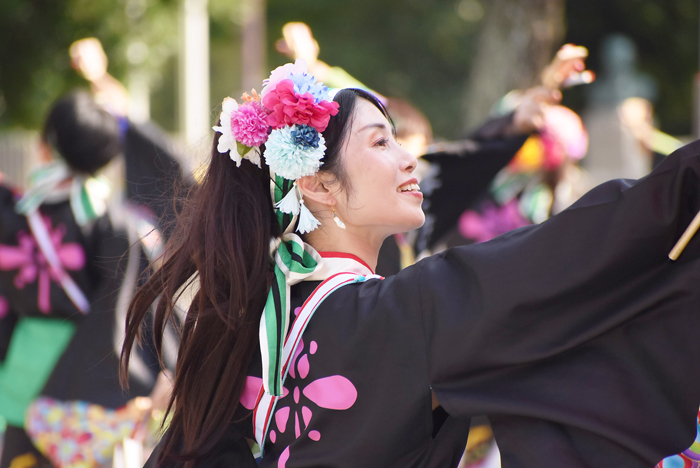 よさこい衣装・祭り衣装　　いよさこい！！華魅様 