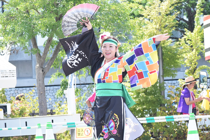 よさこい衣装・祭り衣装　　いよさこい！！華魅様 