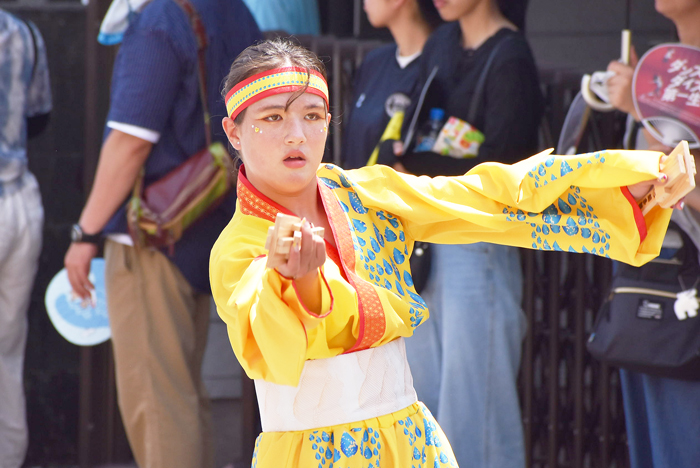 よさこい衣装・祭り衣装　　幡多舞人様 