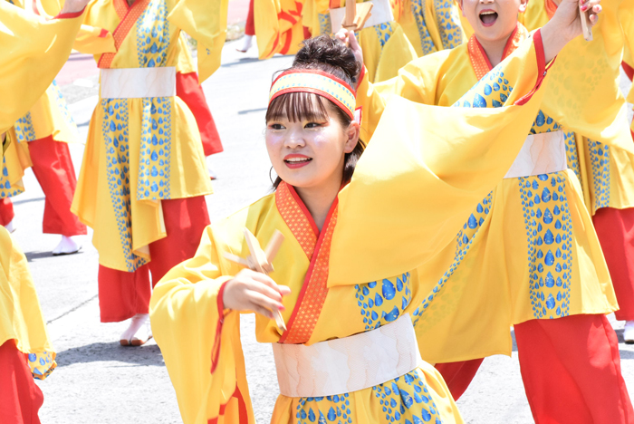 よさこい衣装・祭り衣装　　幡多舞人様 