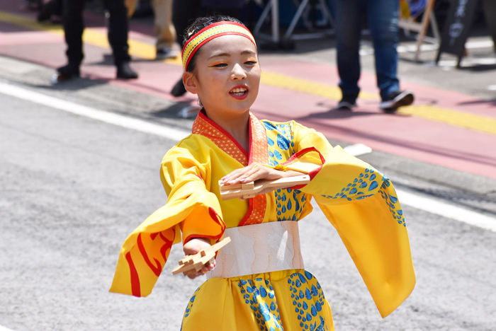 よさこい衣装・祭り衣装　　幡多舞人様 