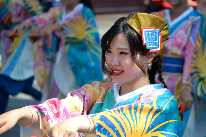 よさこい衣装・祭り衣装　　梅乃連様 