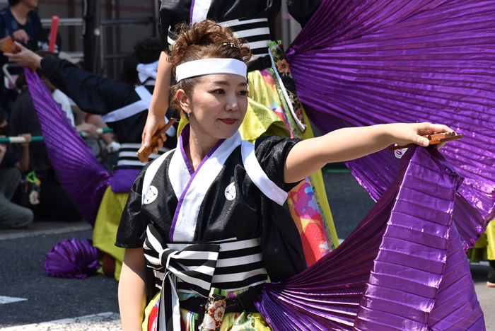 よさこい衣装・祭り衣装　　純信連様 