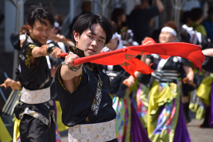 よさこい衣装・祭り衣装　　純信連様 