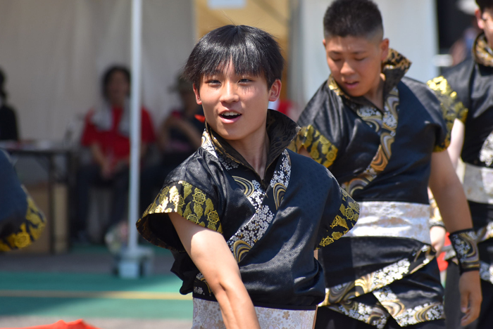 よさこい衣装・祭り衣装　　純信連様 