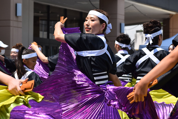 よさこい衣装・祭り衣装　　純信連様 