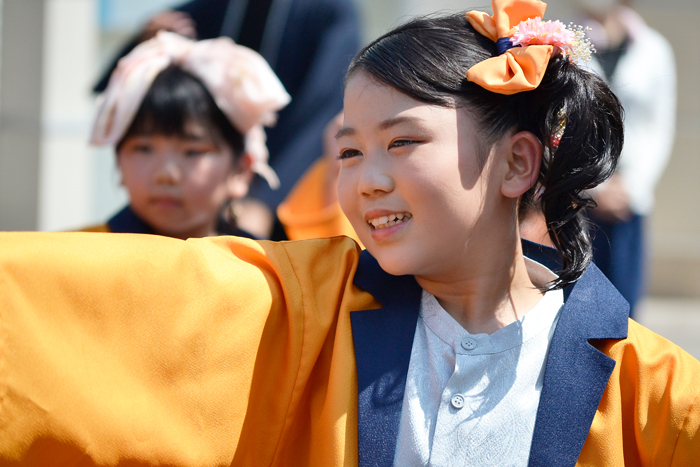 よさこい衣装・祭り衣装　　祭人衆-matsuribito-様 