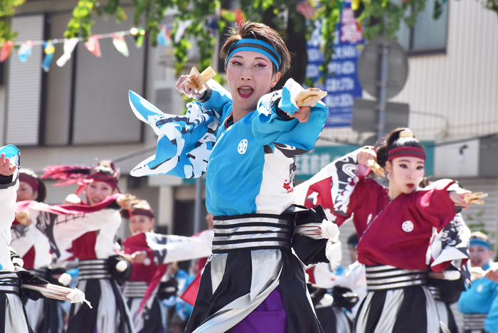 よさこい衣装・祭り衣装　　さぬき舞人様 