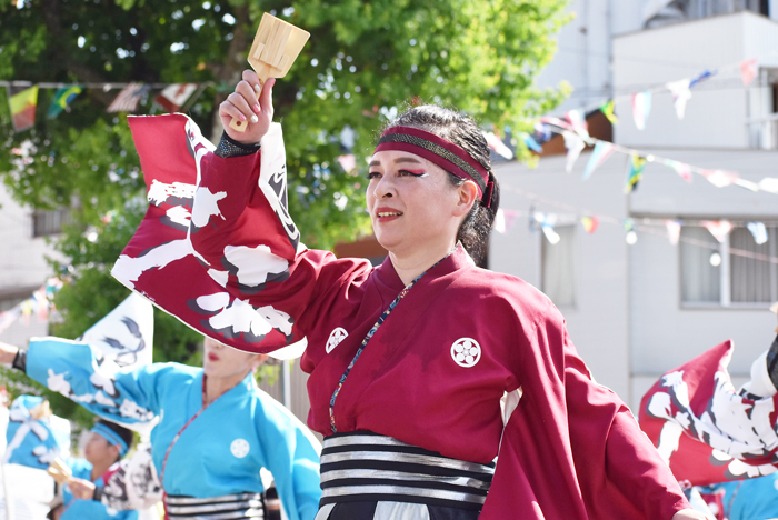 よさこい衣装・祭り衣装　　さぬき舞人様 