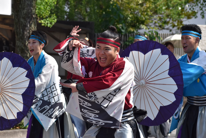 よさこい衣装・祭り衣装　　さぬき舞人様 