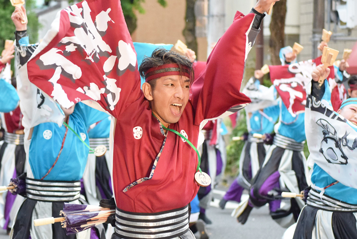 よさこい衣装・祭り衣装　　さぬき舞人様 