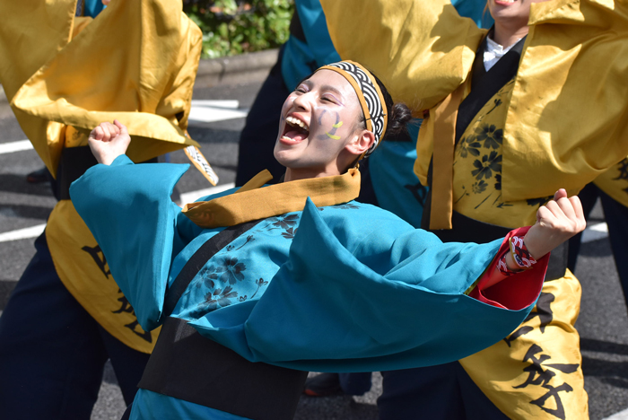 よさこい衣装・祭り衣装　　岡山うらじゃ連四季様 