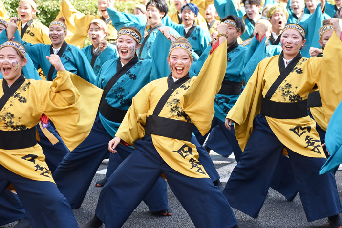 よさこい衣装・祭り衣装　　岡山うらじゃ連四季様 