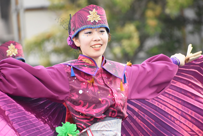 よさこい衣装・祭り衣装　　TACYON様 