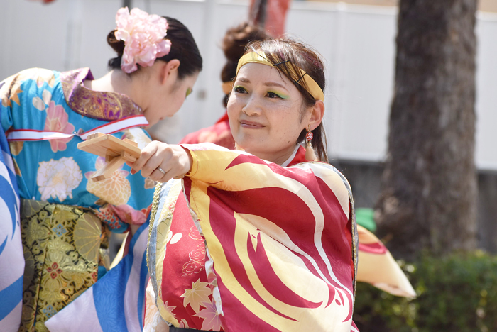 よさこい衣装・祭り衣装　　高松よさこい連様 