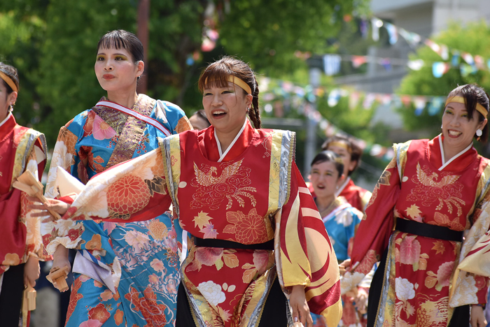 よさこい衣装・祭り衣装　　高松よさこい連様 