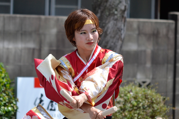 よさこい衣装・祭り衣装　　高松よさこい連様 