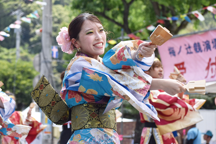 よさこい衣装・祭り衣装　　高松よさこい連様 