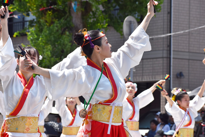 よさこい衣装・祭り衣装　　梅乃連様 