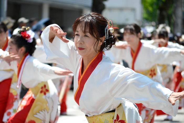 よさこい衣装・祭り衣装　　梅乃連様 