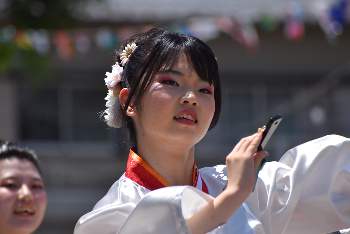 よさこい衣装・祭り衣装　　梅乃連様 