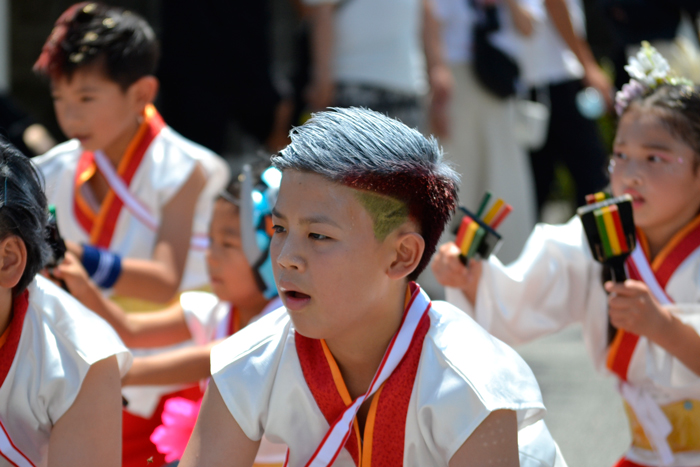 よさこい衣装・祭り衣装　　梅乃連様 