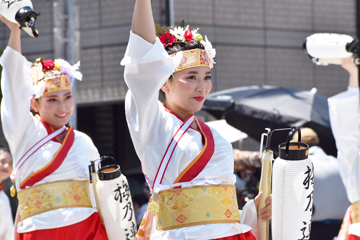 よさこい衣装・祭り衣装　　梅乃連様 