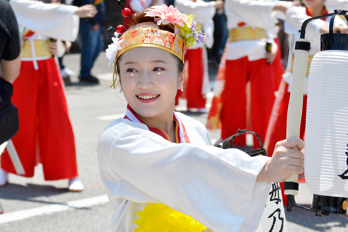 よさこい衣装・祭り衣装　　梅乃連様 