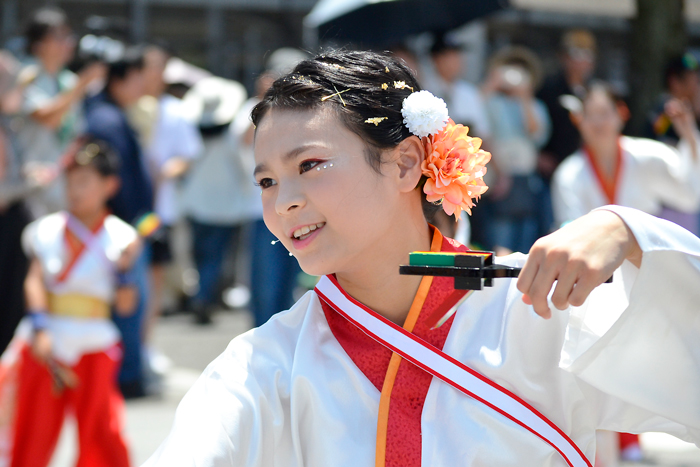 よさこい衣装・祭り衣装　　梅乃連様 