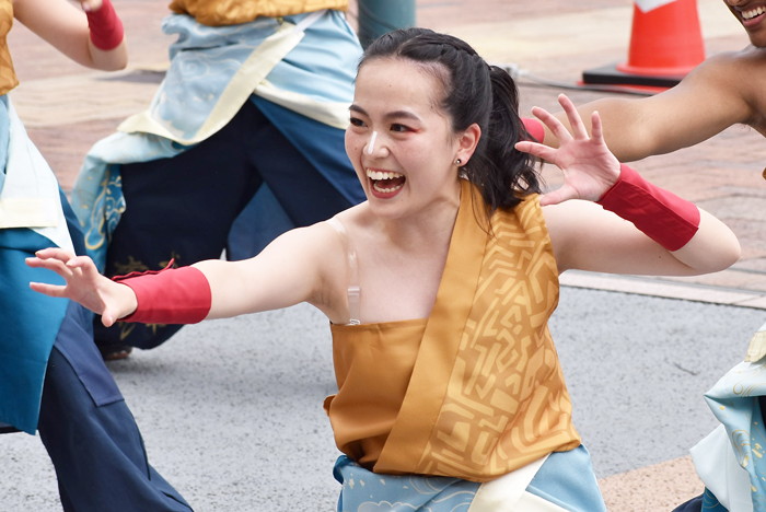 よさこい衣装・祭り衣装　　APUよっしゃ虎威様 