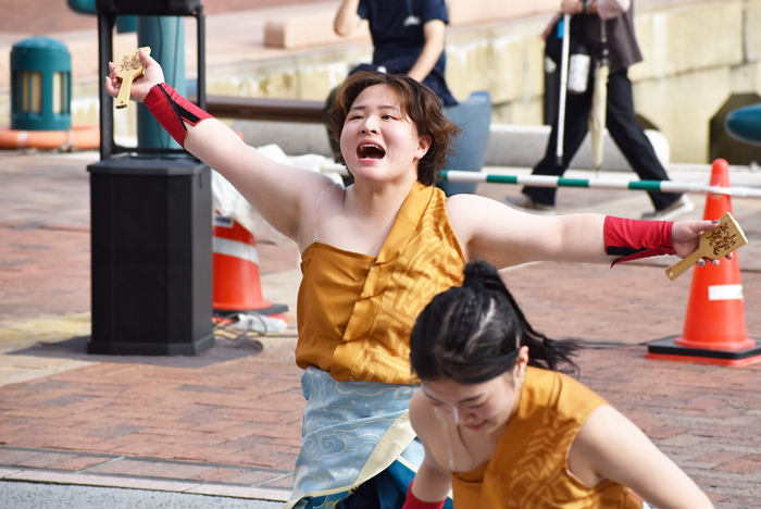 よさこい衣装・祭り衣装　　APUよっしゃ虎威様 