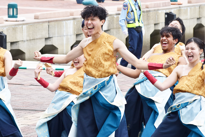 よさこい衣装・祭り衣装　　APUよっしゃ虎威様 