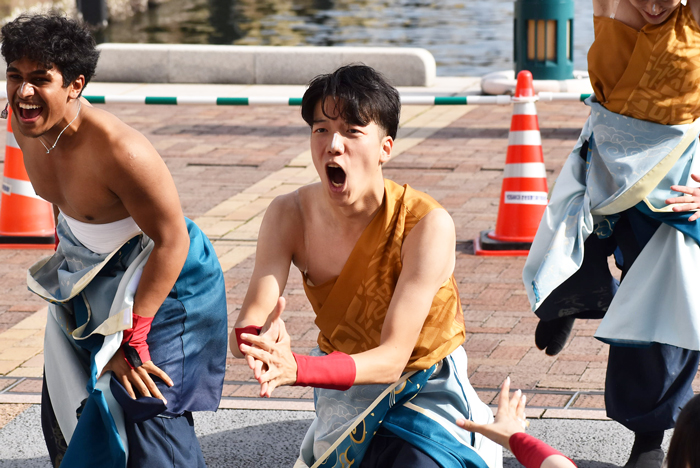 よさこい衣装・祭り衣装　　APUよっしゃ虎威様 