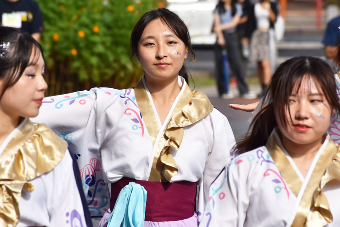 よさこい衣装・祭り衣装　　山口県立大学よさこい部奄美連合萩組様 