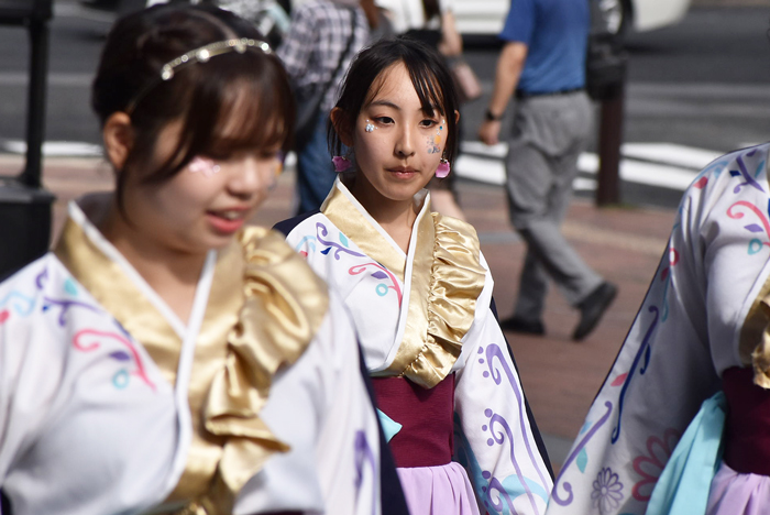 よさこい衣装・祭り衣装　　山口県立大学よさこい部奄美連合萩組様 
