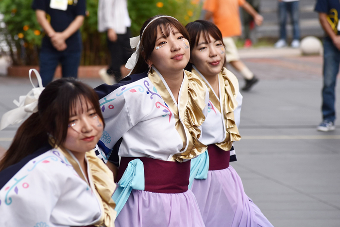 よさこい衣装・祭り衣装　　山口県立大学よさこい部奄美連合萩組様 