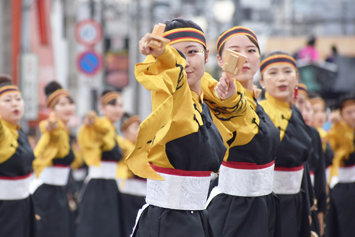 よさこい衣装・祭り衣装　　幡多舞人様 