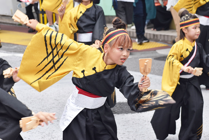 よさこい衣装・祭り衣装　　幡多舞人様 