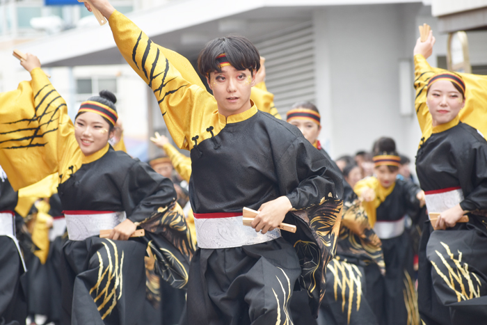 よさこい衣装・祭り衣装　　幡多舞人様 